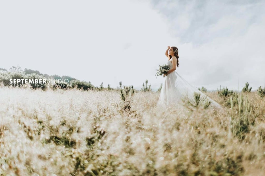 Chụp hình cưới ở cánh đồng hoa đẹp